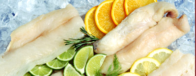Misty Harbour Seafood - A Division of Coastal Enterprises