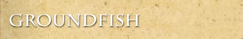 Groundfish