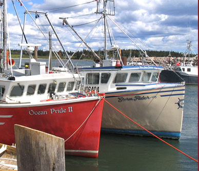 Misty Harbour Seafood - A Division of Coastal Enterprises