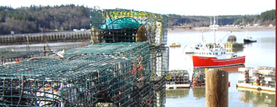 Misty Harbour Seafood - A Division of Coastal Enterprises