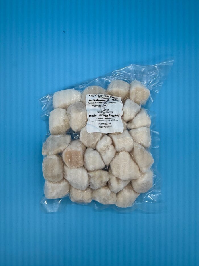 Frozen Scallops