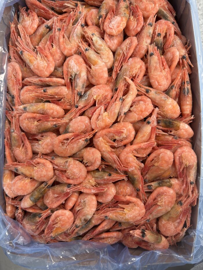 Prawns