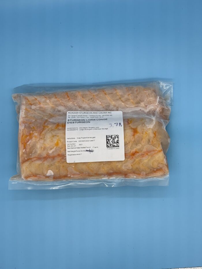 Sturgeon Loin
